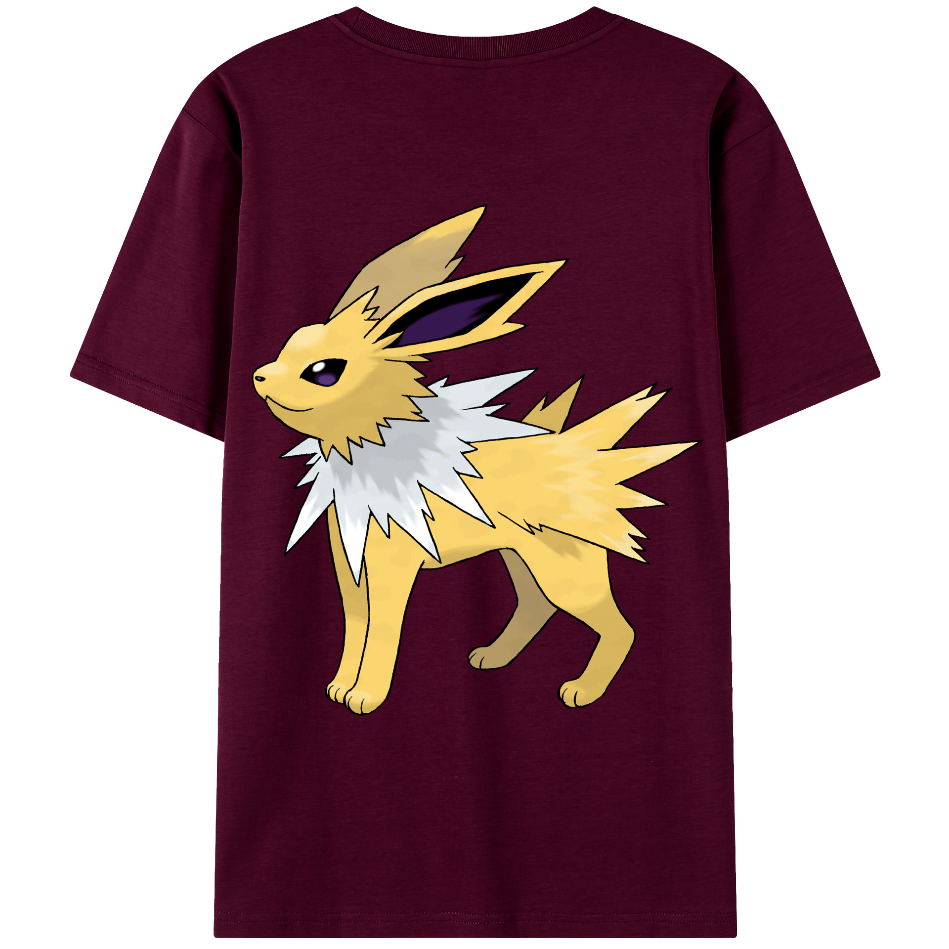 （画像用） ポケットモンスター Pokémon レディース半袖Tシャツ(バックプリント)